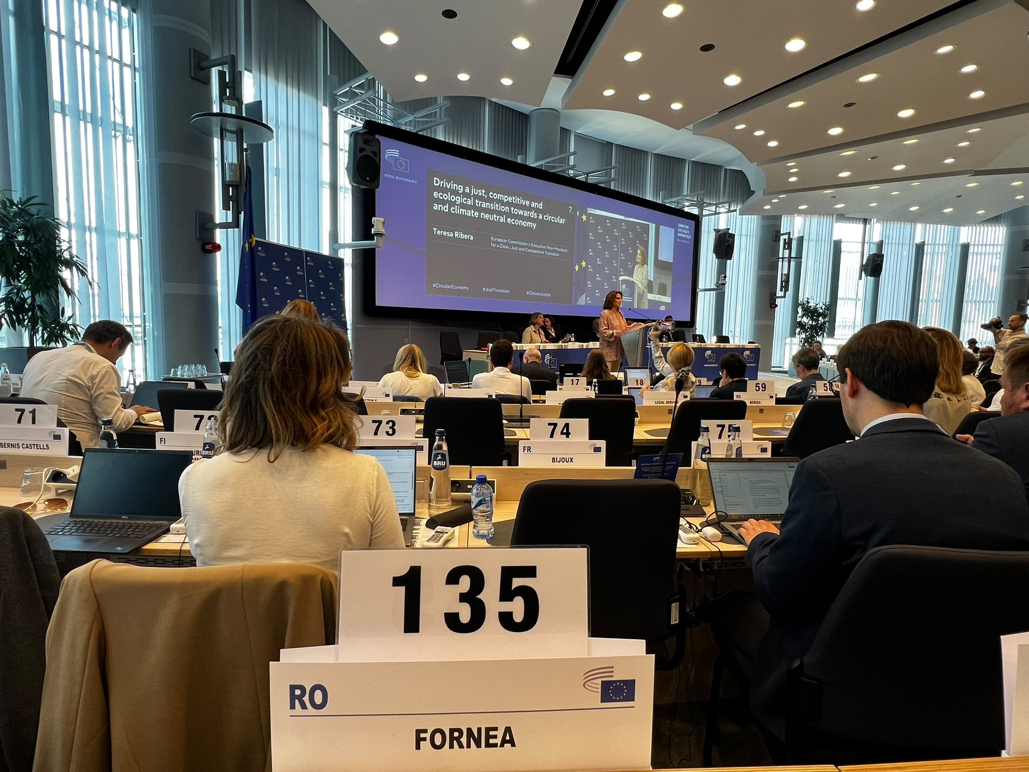 Dumitru Fornea, reprezentantul CSN MERIDIAN, a participat la cea de-a 606-a sesiune plenară a CESE