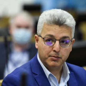 Dumitru Fornea